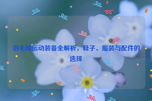 羽毛球运动装备全解析，鞋子、服装与配件的选择