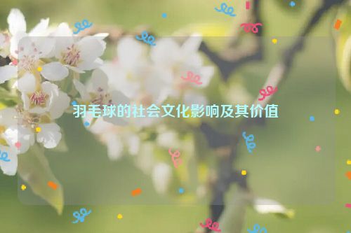 羽毛球的社会文化影响及其价值